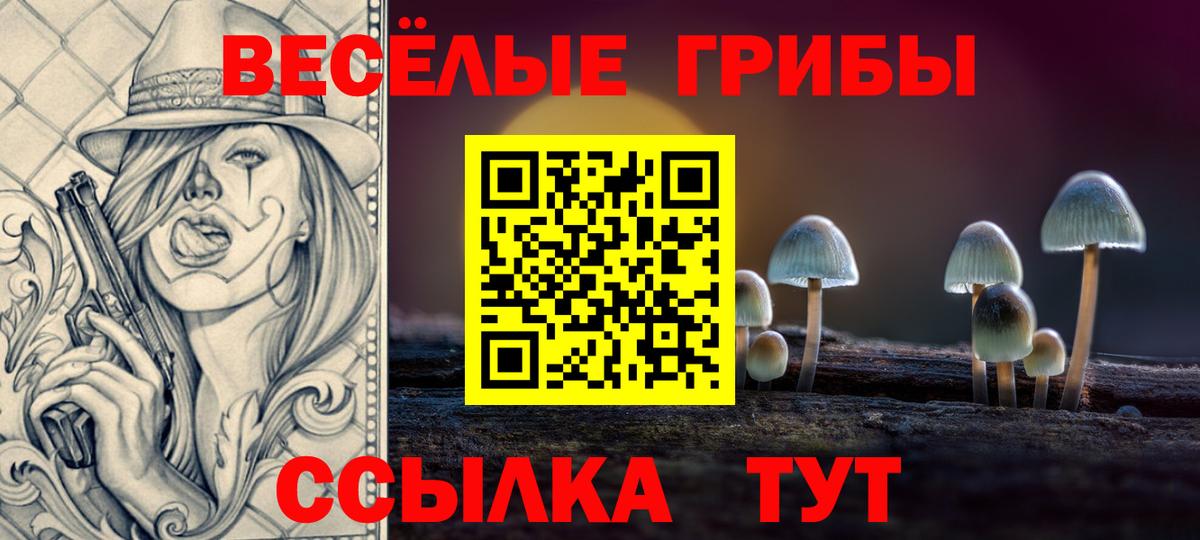 Галлюциногенные грибы Psilocybe Соликамск